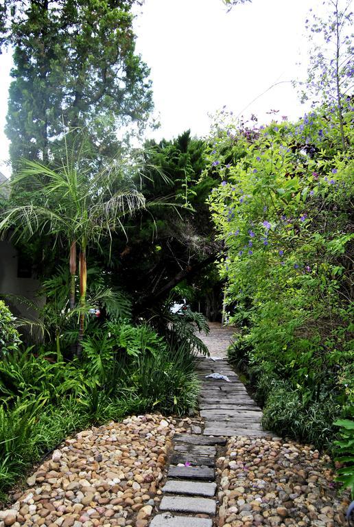Birch Tree Cottage Johannesburg Dış mekan fotoğraf